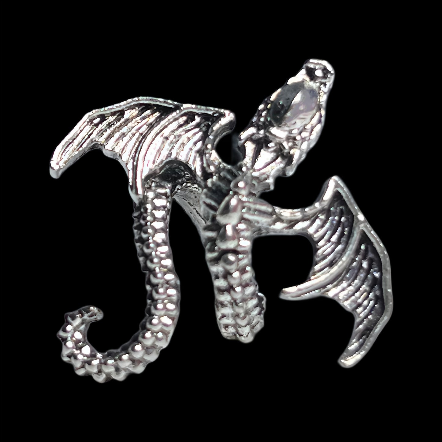 Dragon Wrapped Metal Charm